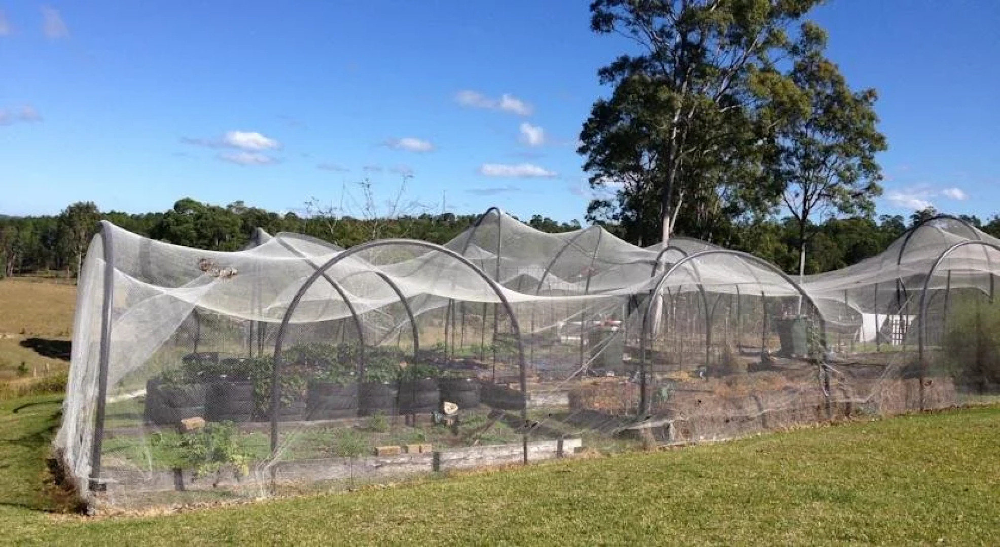 Rural Executive Holiday House @ Lavender Grove Farm