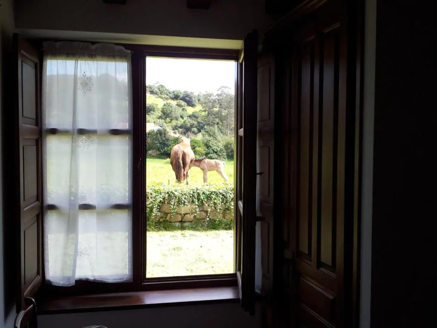 Apartamentos la Roblera