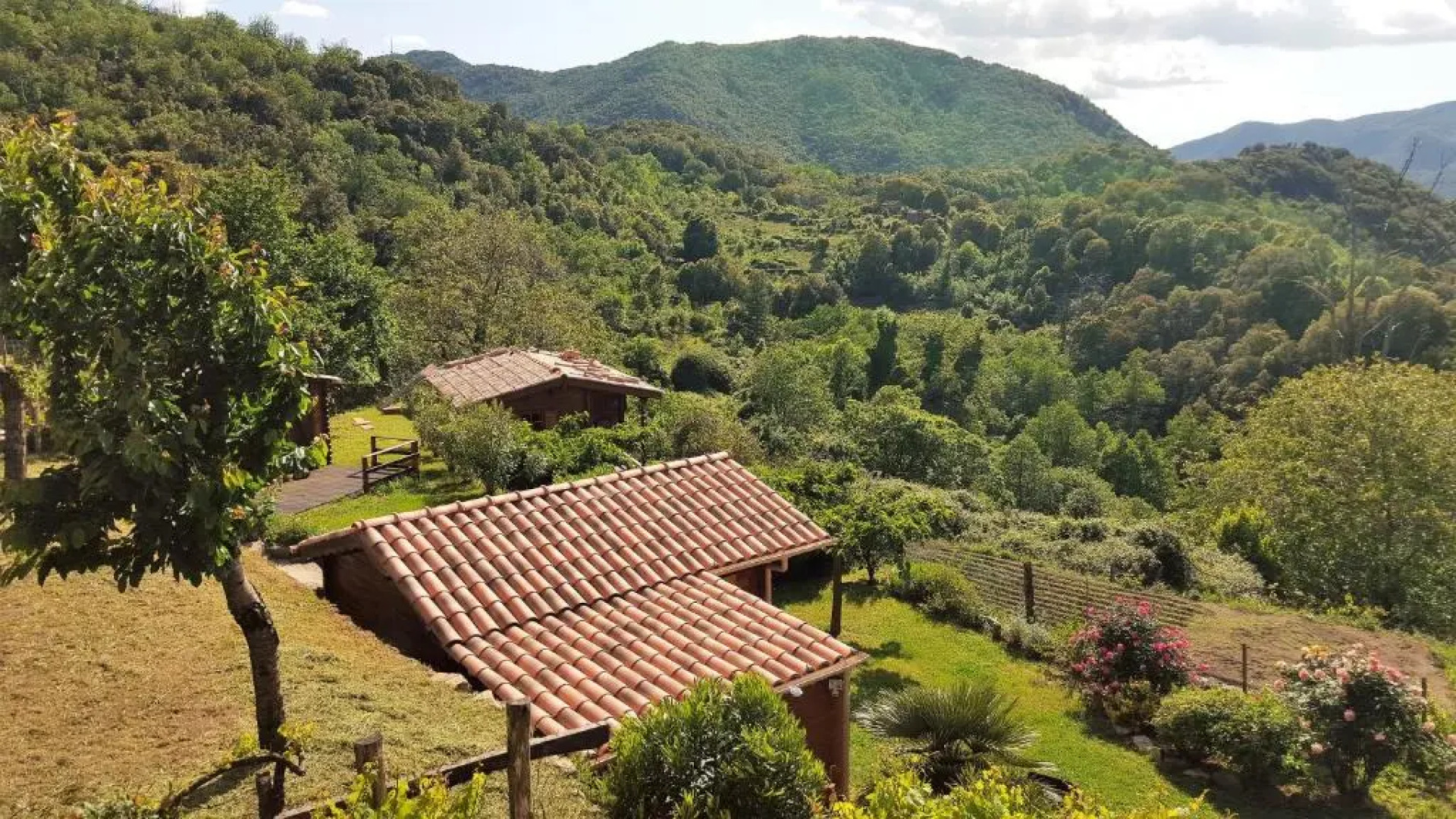 Les Chalets Et Gite du Haut Taravo