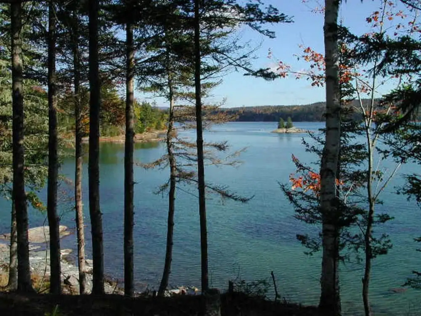 Three Pines Bed and Breakfast