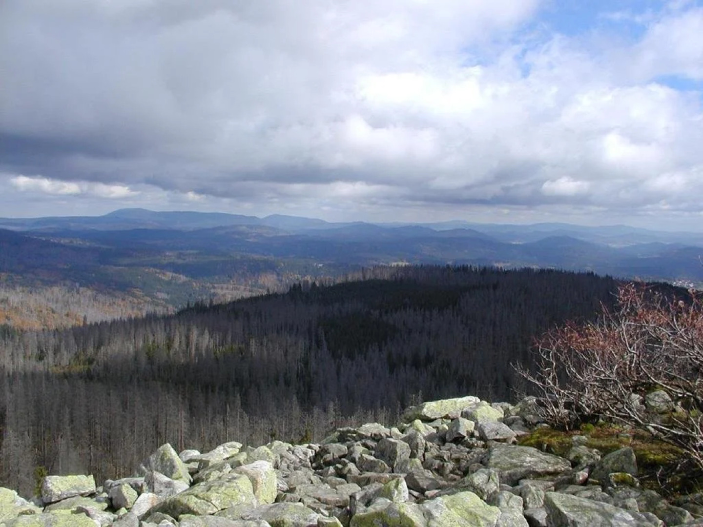 Hotel Hubertushof und Gasthof Genosko