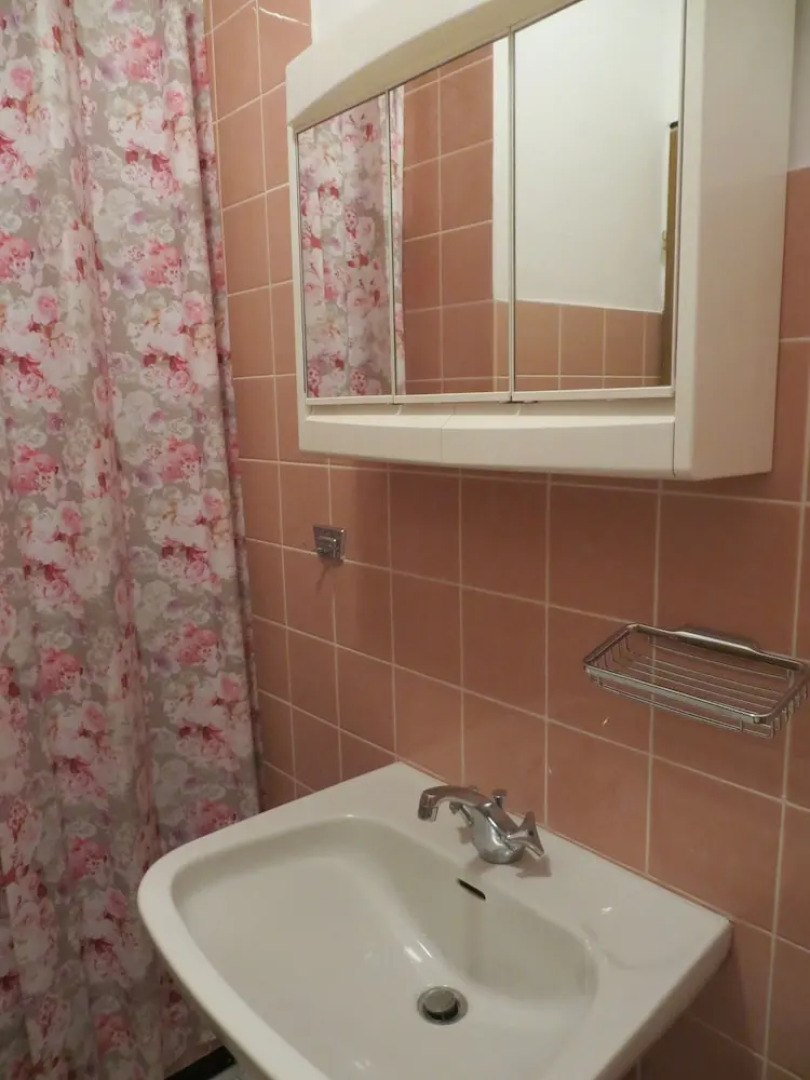 Rotes Ross Burghaslach