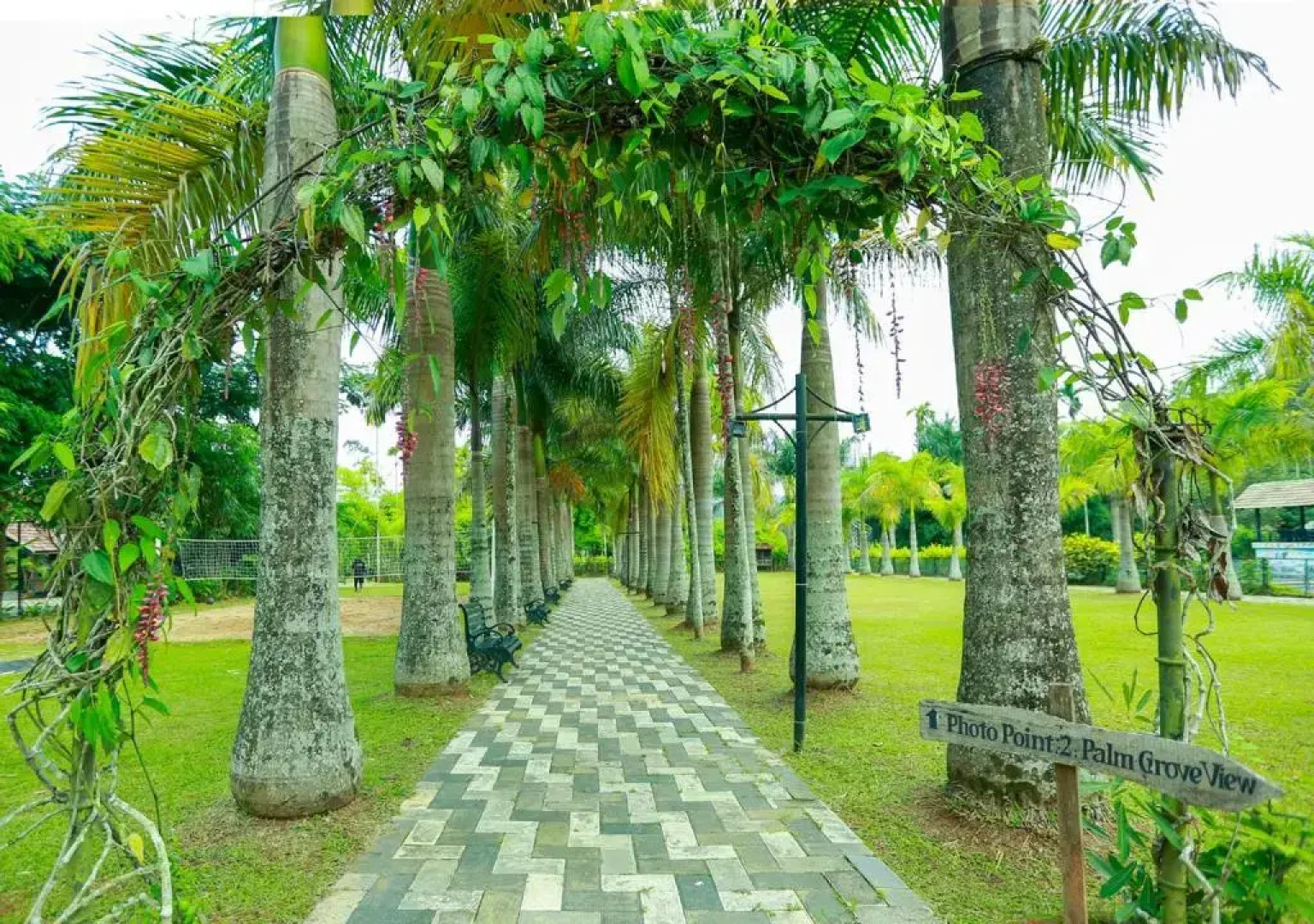 OYO Premium Hill Stays Kolagappara