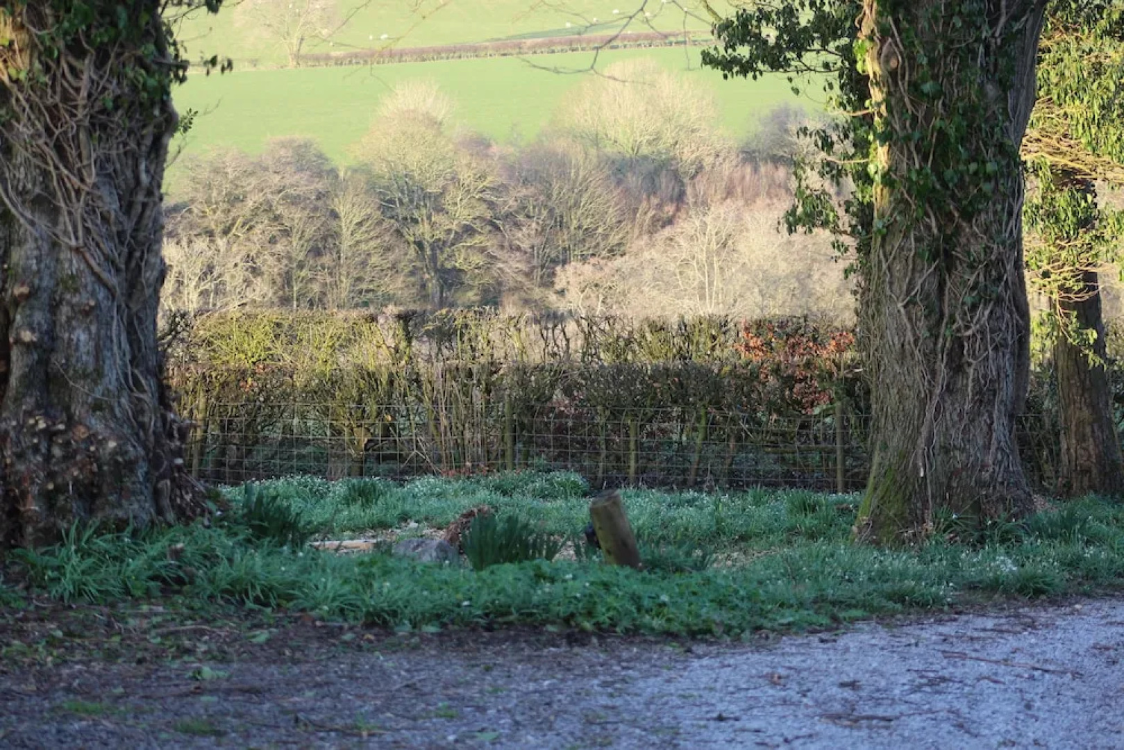 Woodlands Country House