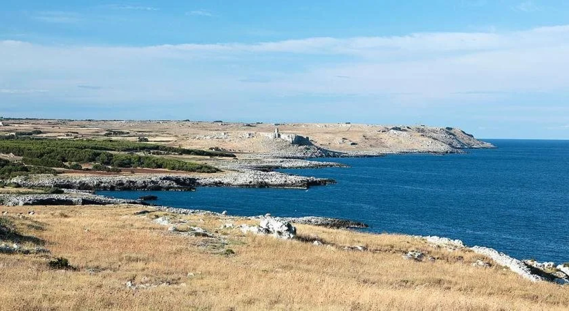 B&B Guesthouse La Tana del Riccio