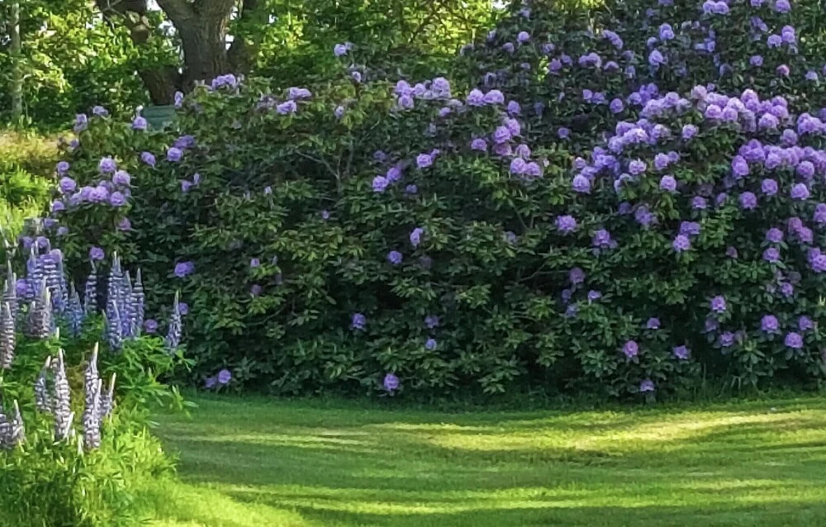 Stunning Home in Listerby With 5 Bedrooms and Wifi