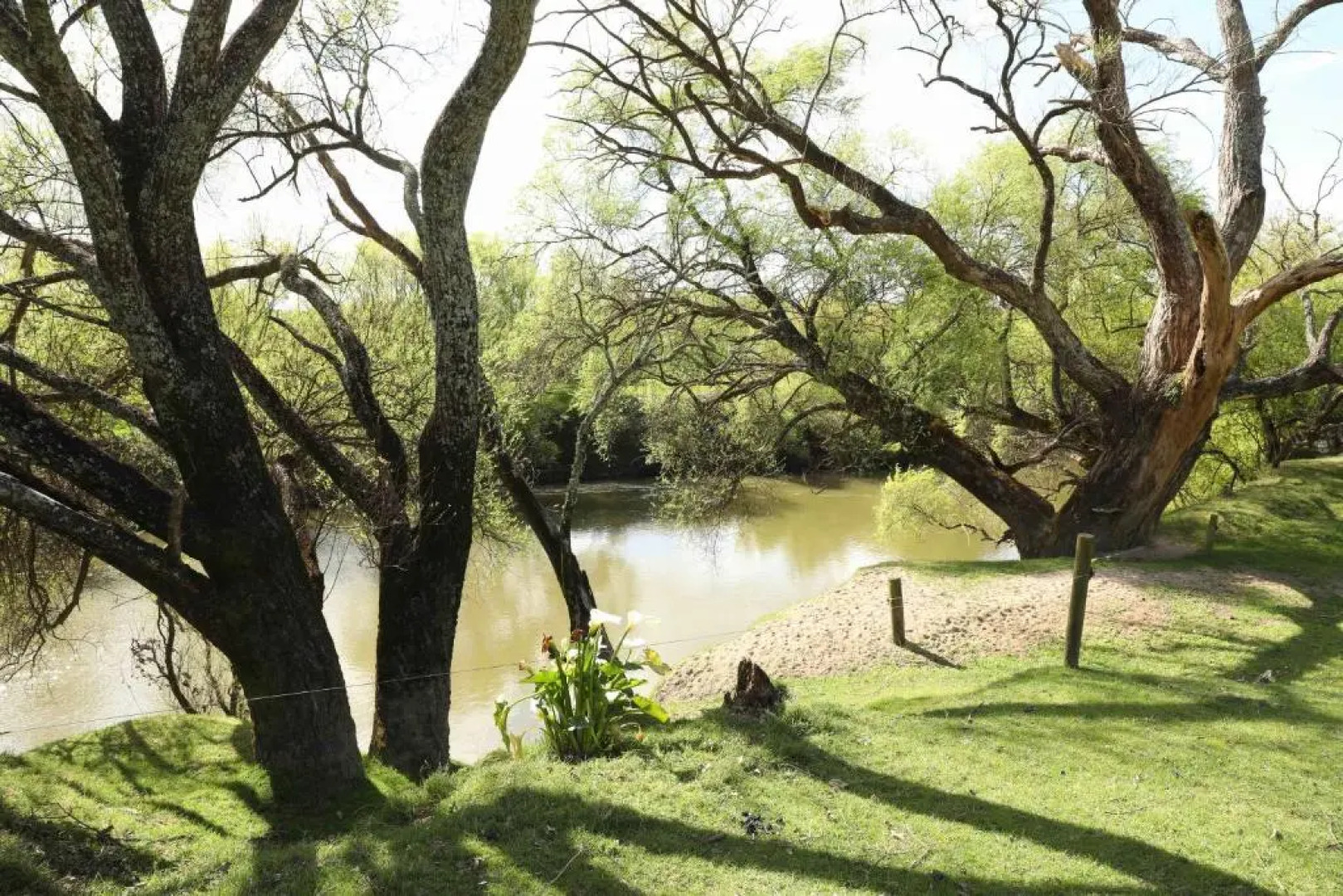 Somersal Bed & Breakfast