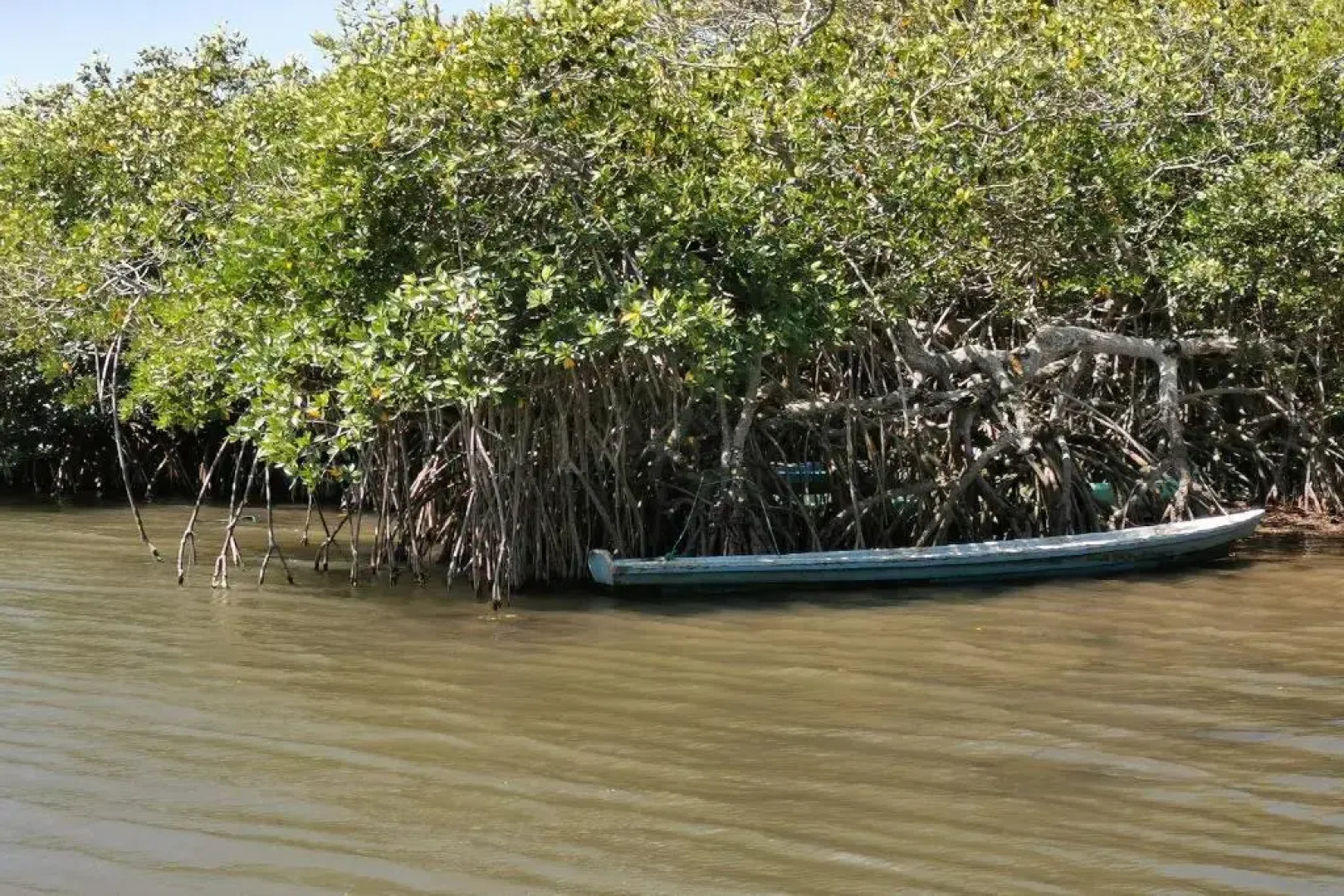Rancho Hotel El Carmen