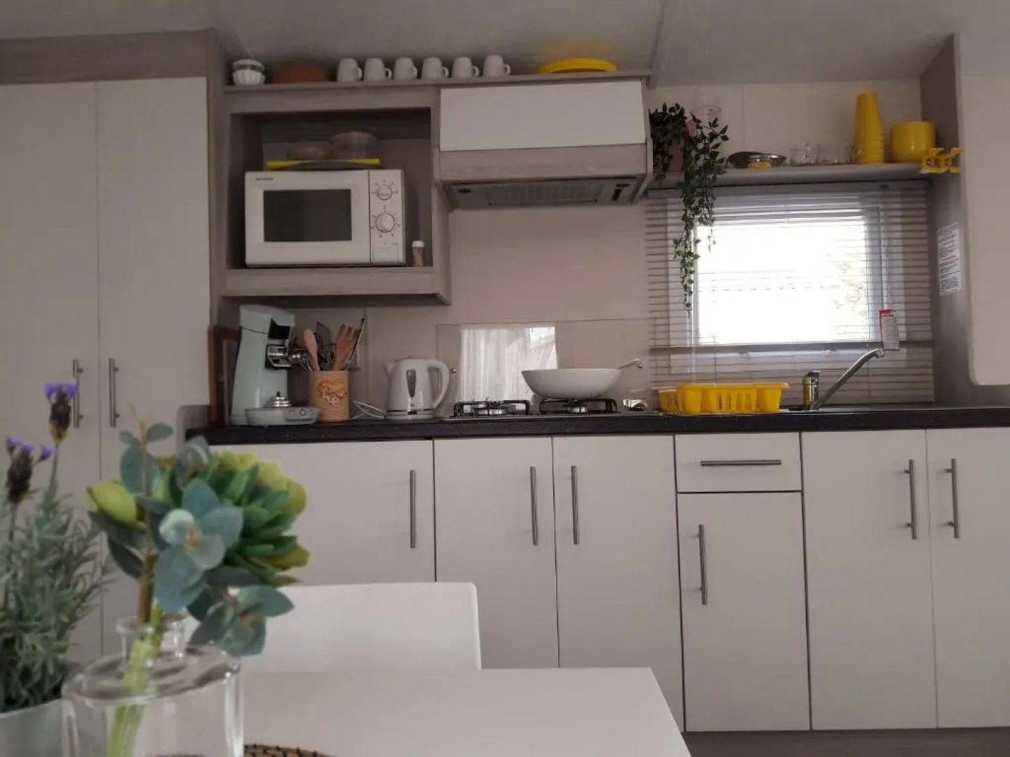 Chalet Dalile IJmuiden aan Zee vlakbij het strand