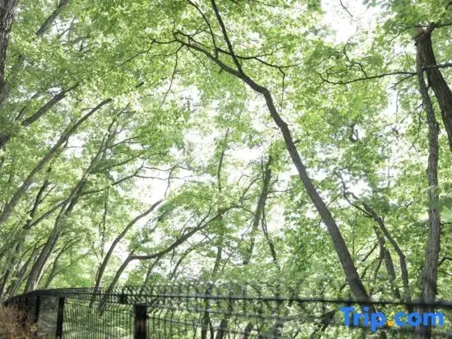 [TV] Luxury adult secret base villa 120 ㎡ Sauna, stone bath, bonfire, BBQ [Zen Building]