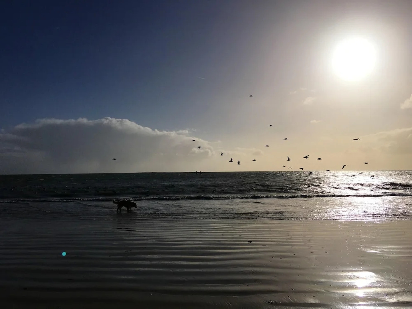 Apartment With one Bedroom in Guérande, With Wonderful sea View, Shared Pool, Enclosed Garden - 600 m From the Beach