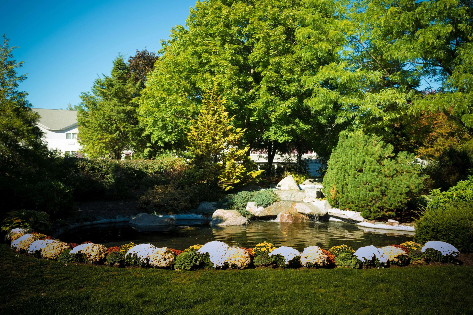 Best Western Plus Executive Court Inn & Conference Center