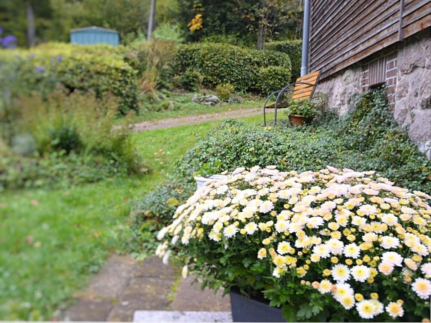 Modern Apartment with Sauna near Ski Area in Zella-Mehlis