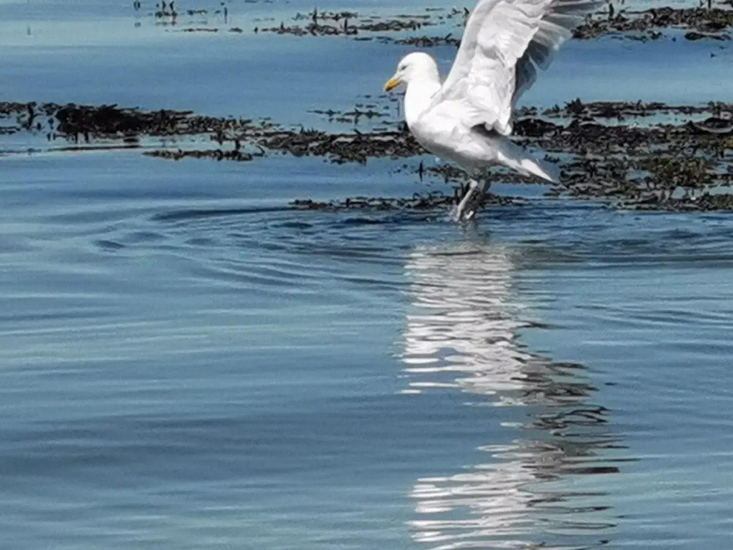 Sea and Mountain View Sunbeach Holiday Snowdonia