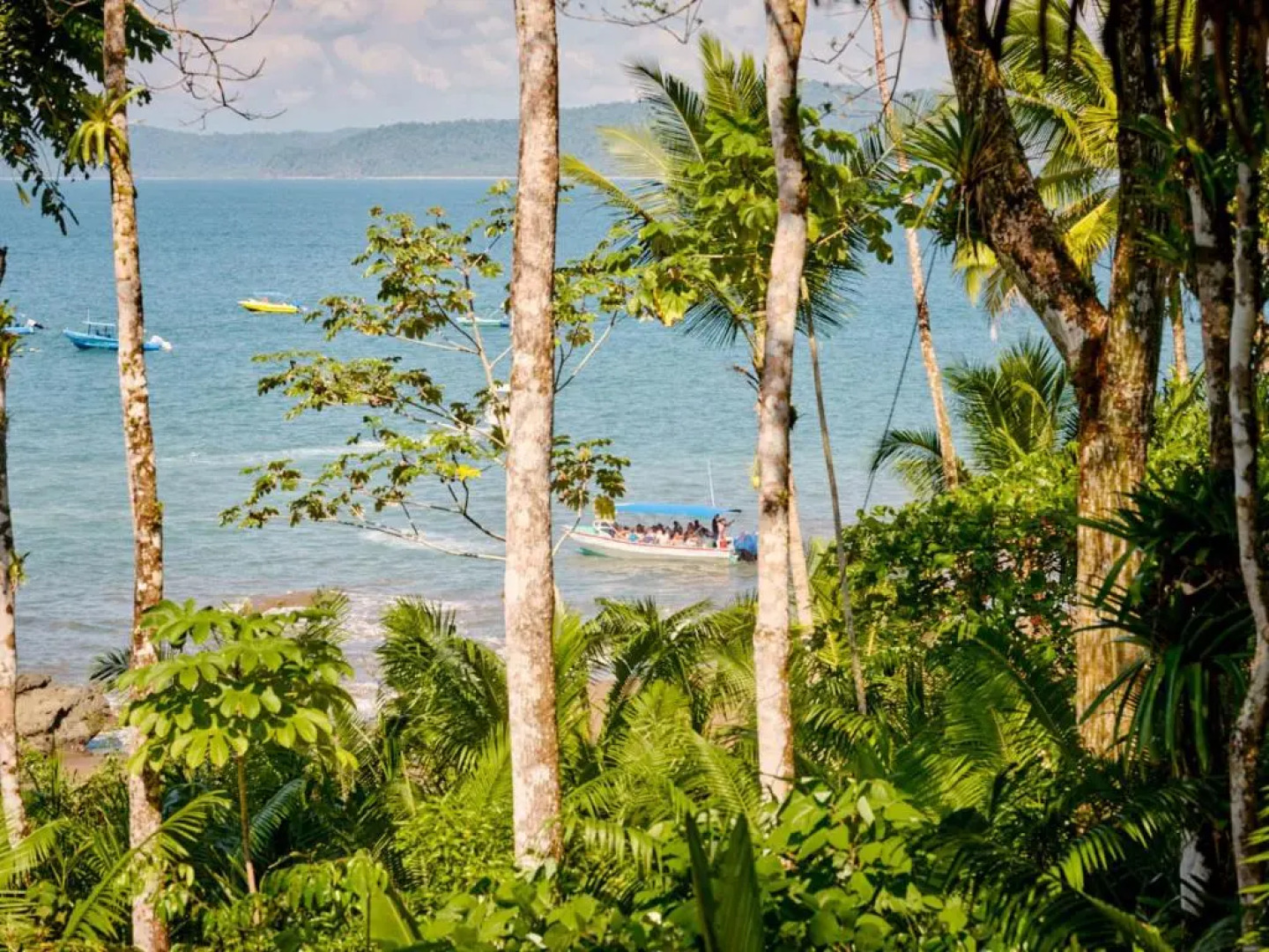 Copa De Arbol Beach & Rainforest Resort