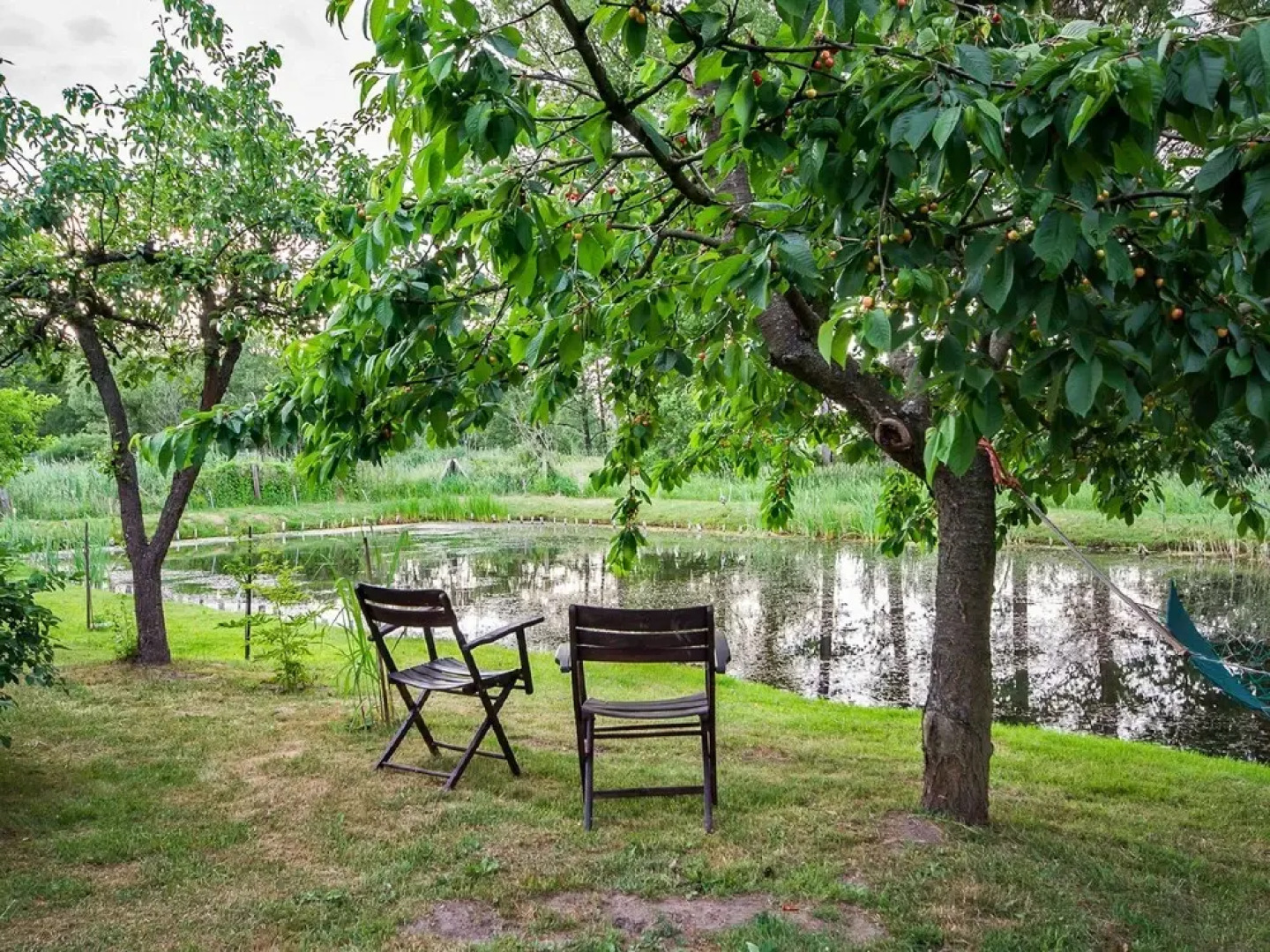 Rekowo Rekowo in Rekowo