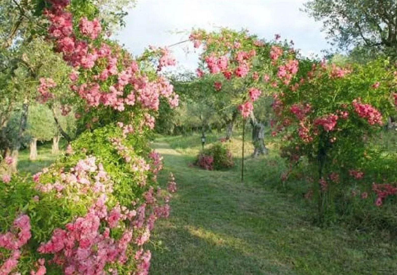Villa Vecchia