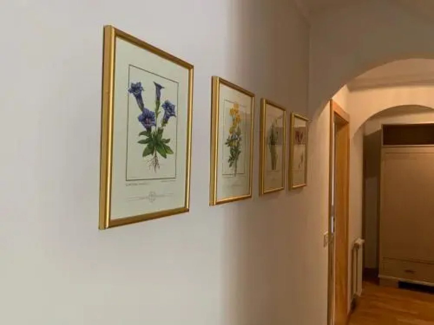 Appartamenti Volpe Rossa