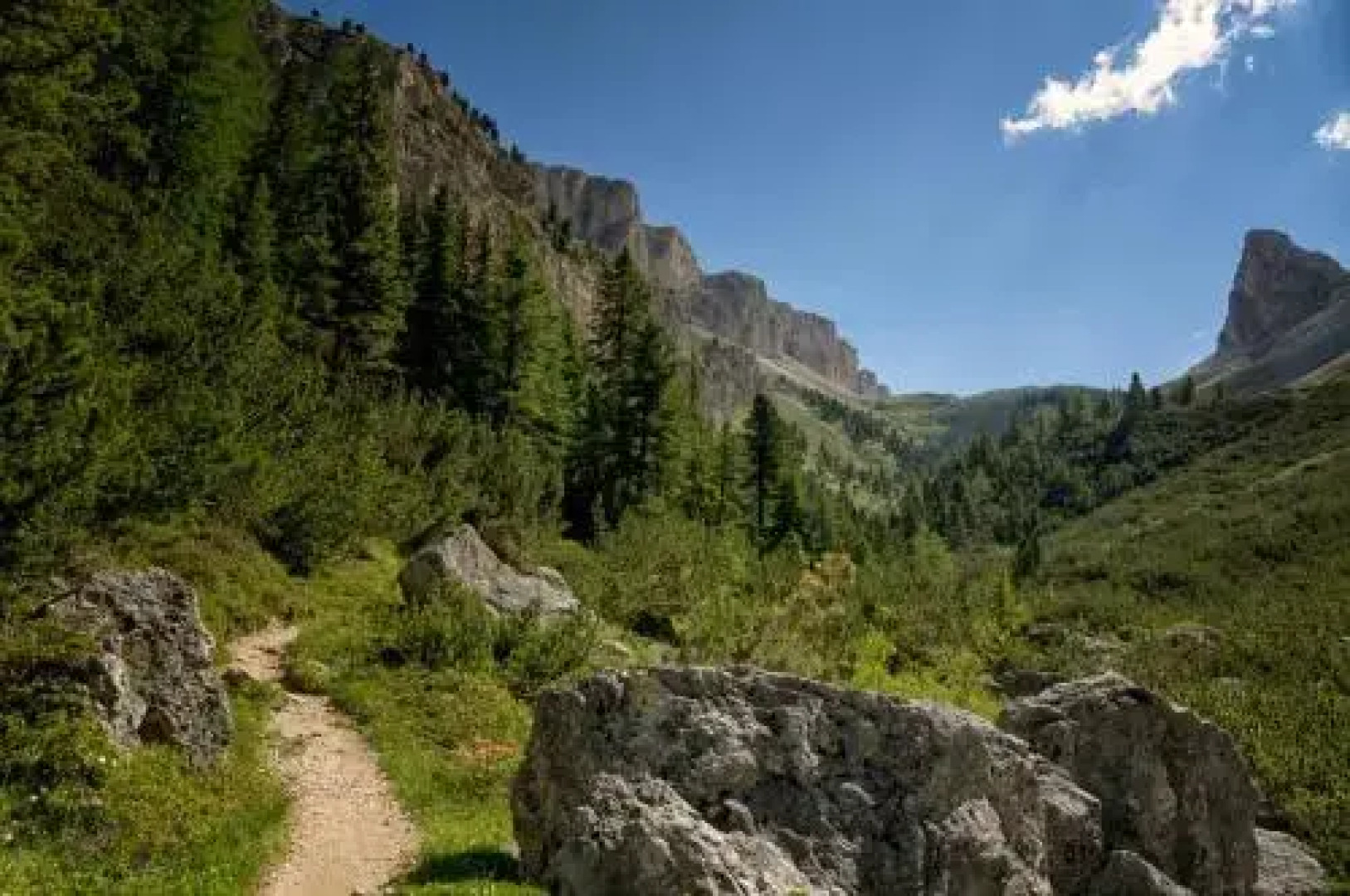 Apartments Villa Center Pic