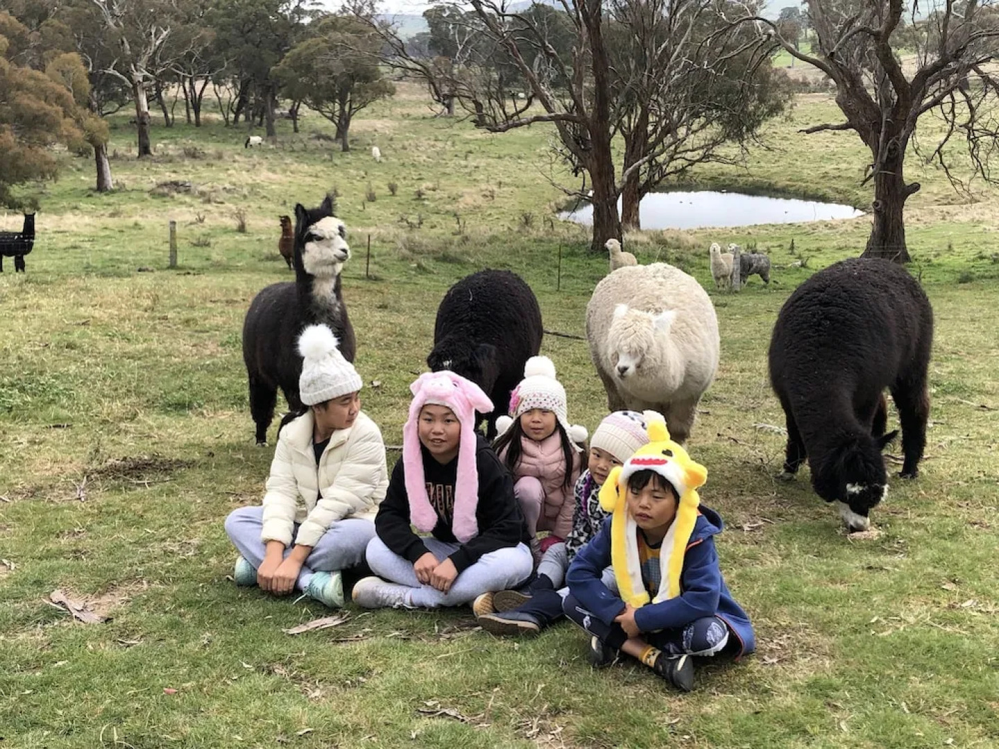 High Country Trail Rides & Farm Stay