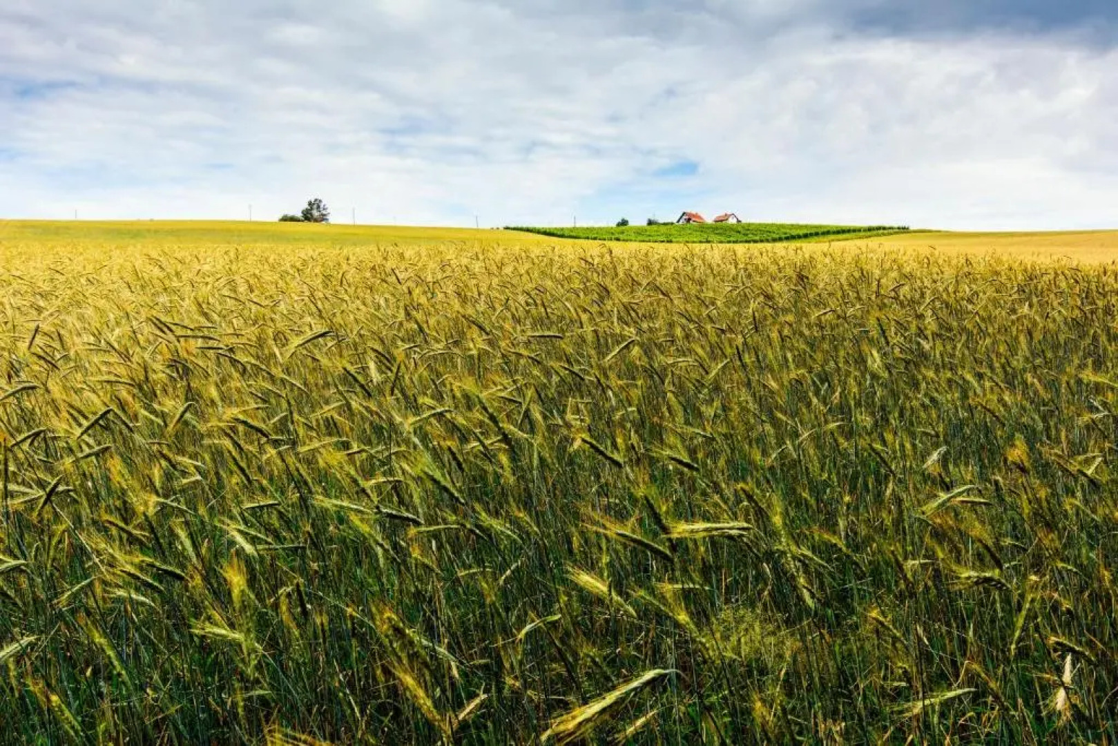 Secret Wellness Pool Sauna and Whirlpool