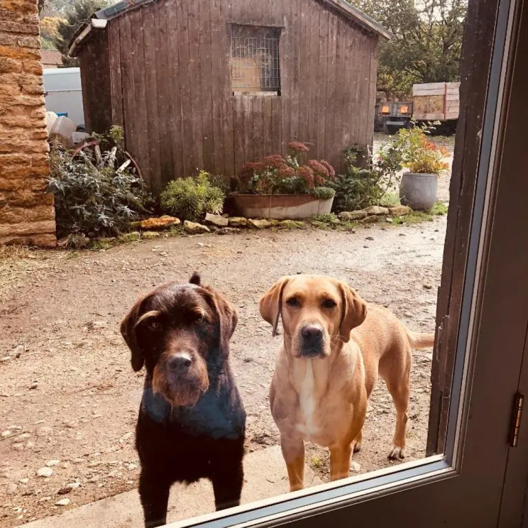 The Tack Room Ruston