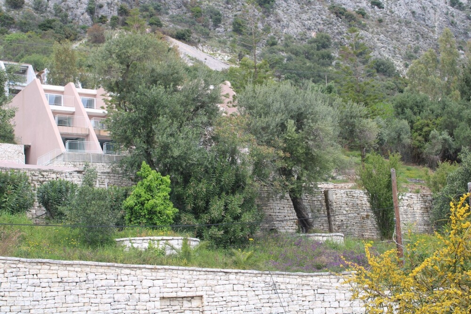Ionian Village & The Homeric