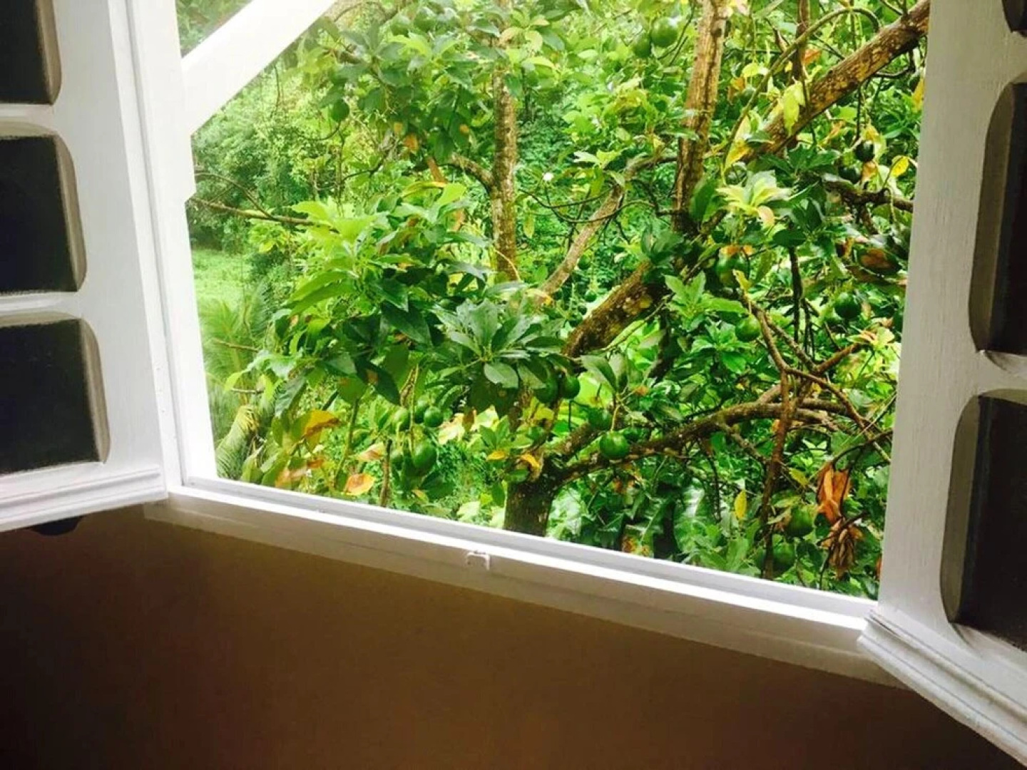 House With 2 Bedrooms in Le François, With Furnished Garden and Wifi -