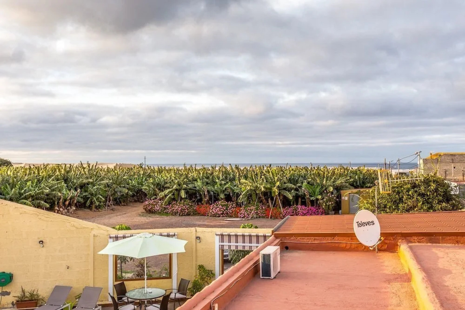 Lightbooking - Papaya