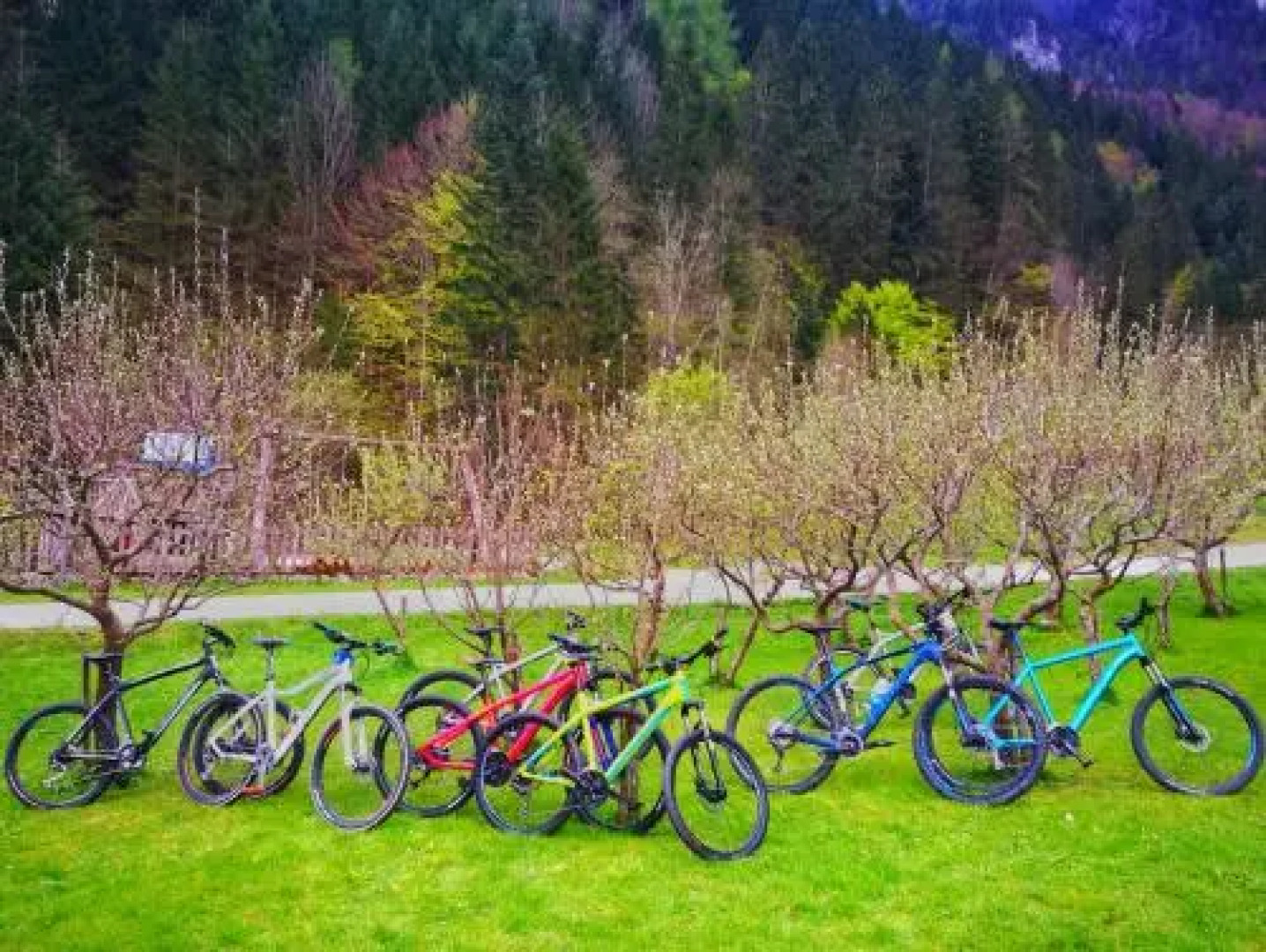 Country house - Turistična kmetija Ambrož Gregorc