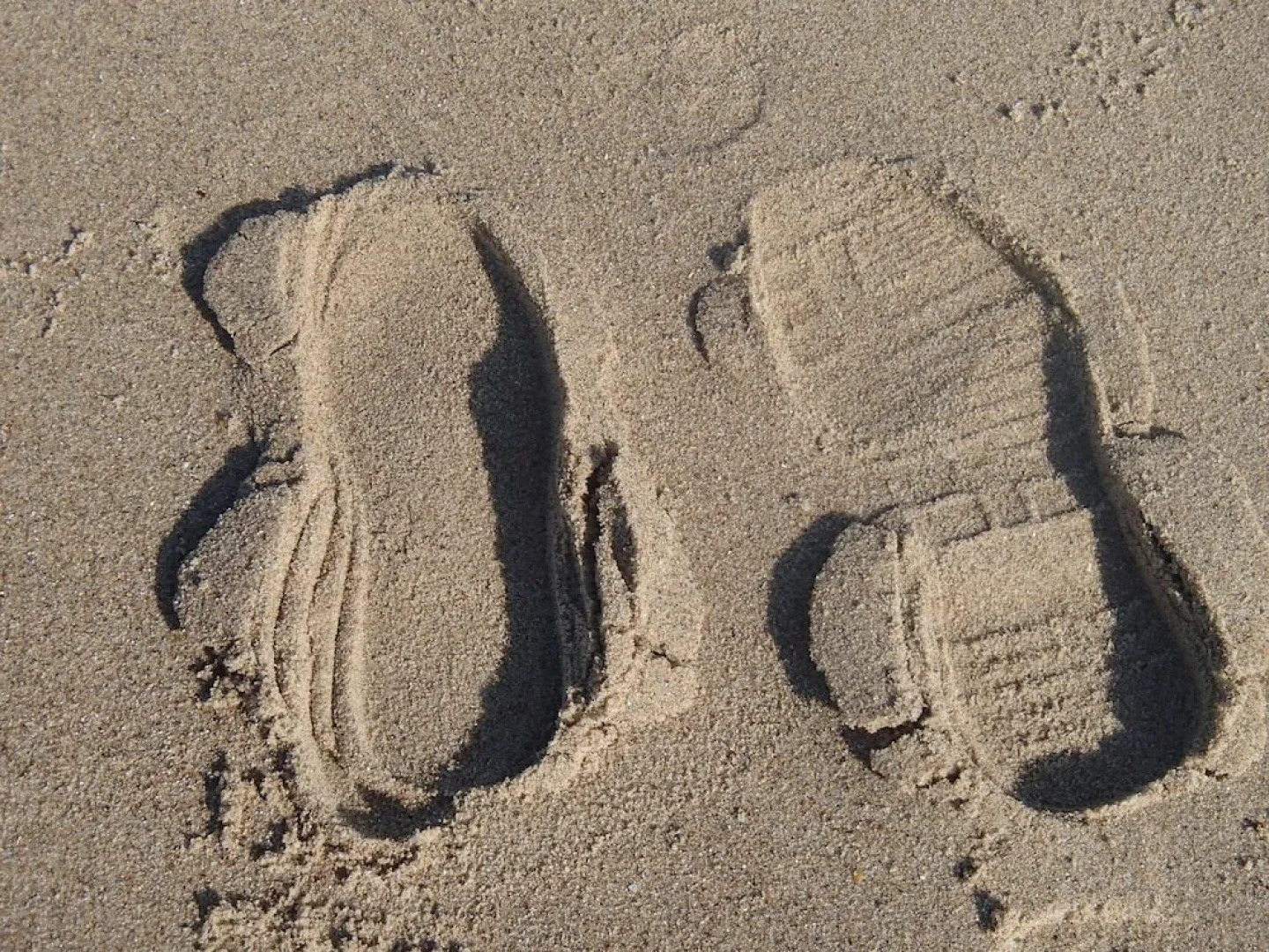 New and Luxury Farmhouse Within Short Distance of the Beach in Cadzand Bad