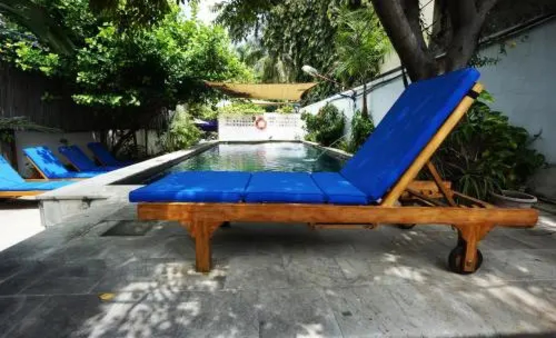 Timor Backpackers