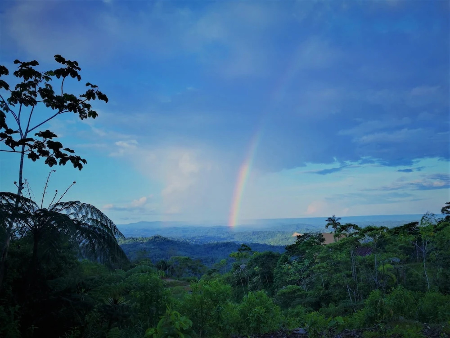Heimatlos Rainforest Lodge