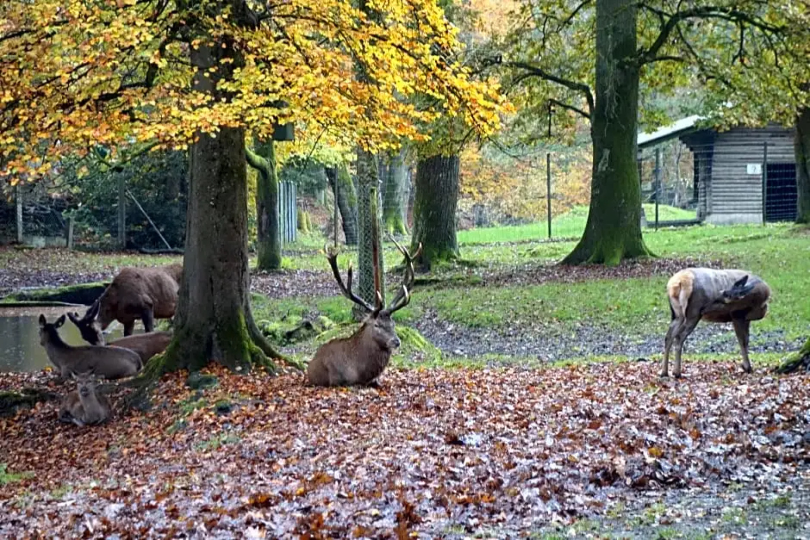 Partner Hotel Zofingen AG