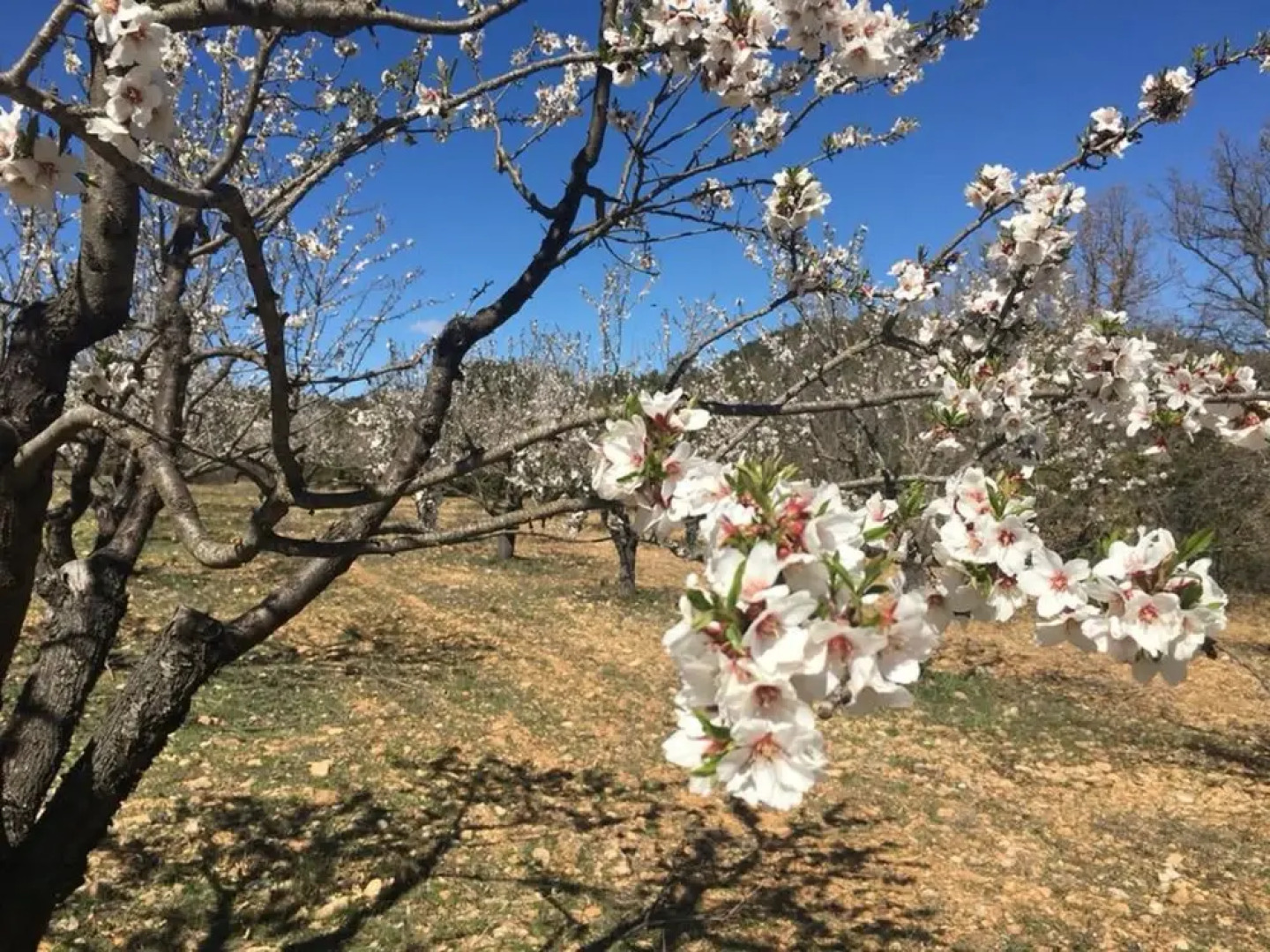 Le Clos des Collines - Gîte