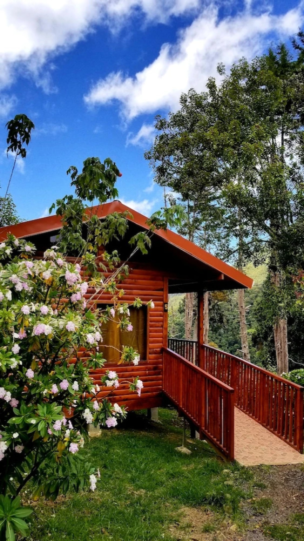 Quaint Mtn Cabins in San Gerardo Dota