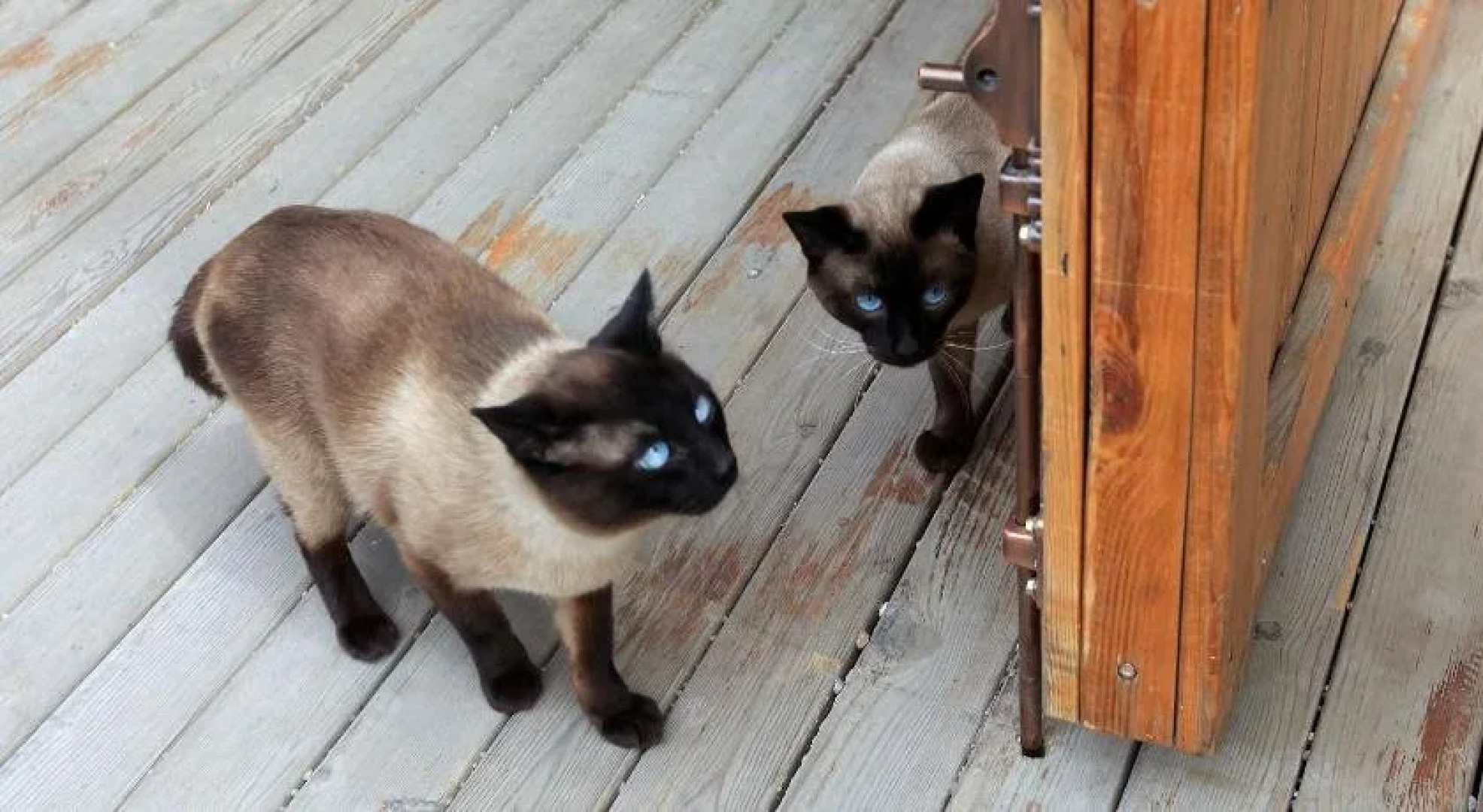 Manzhouli Volga River International Youth Hostel