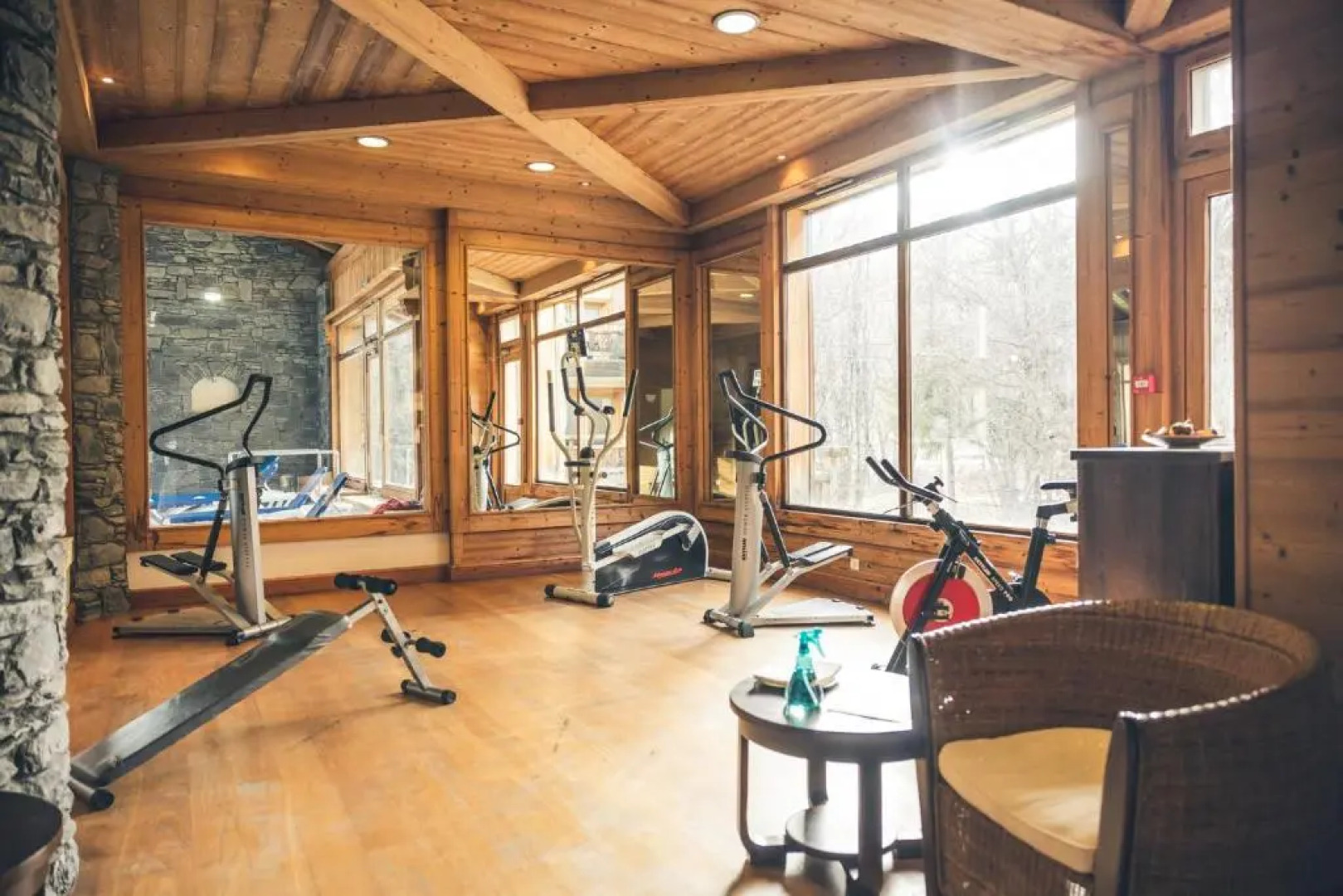 Le Serre D'or, grand appartement au pied des pistes de ski