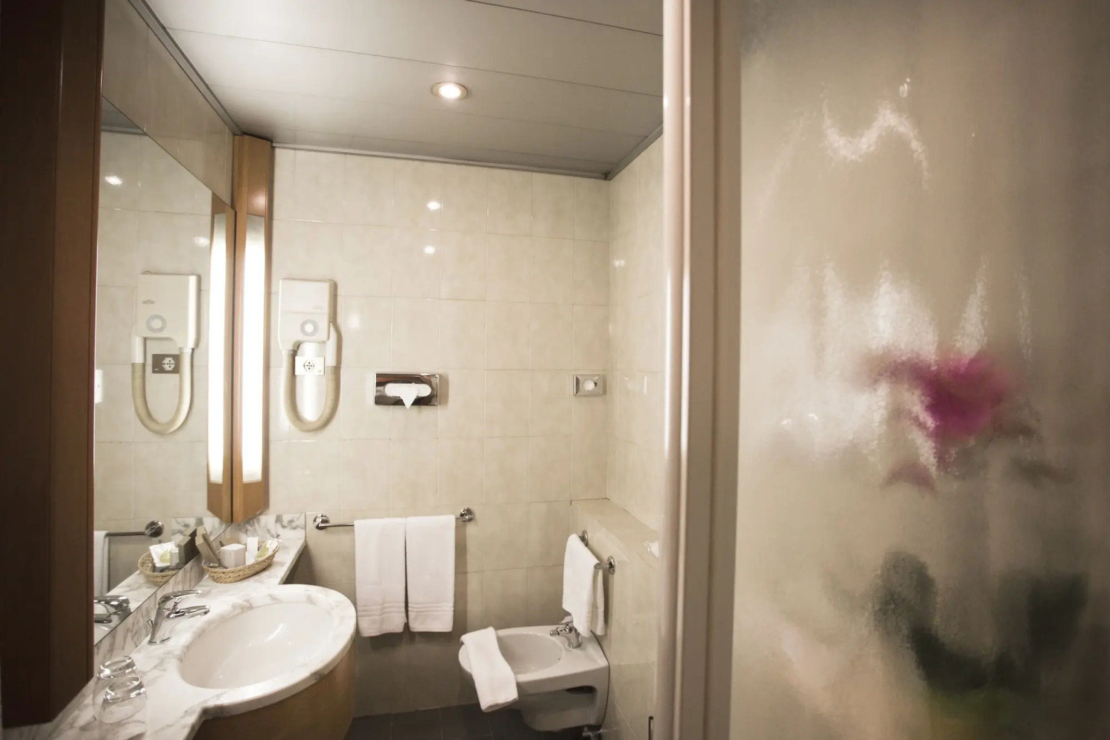 Отель Diplomatic