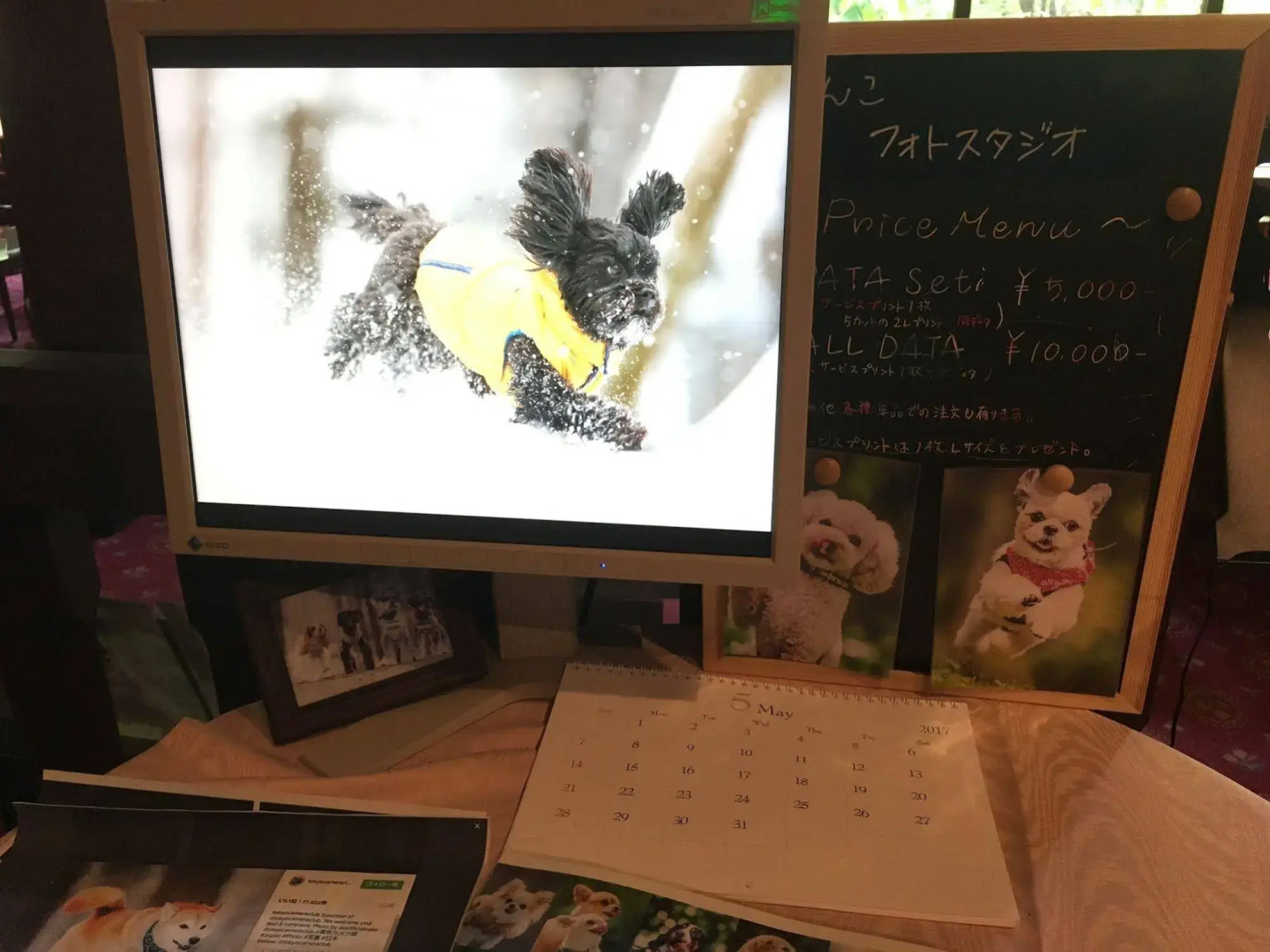 Izumigo Takayama Dog Paradise Hotel