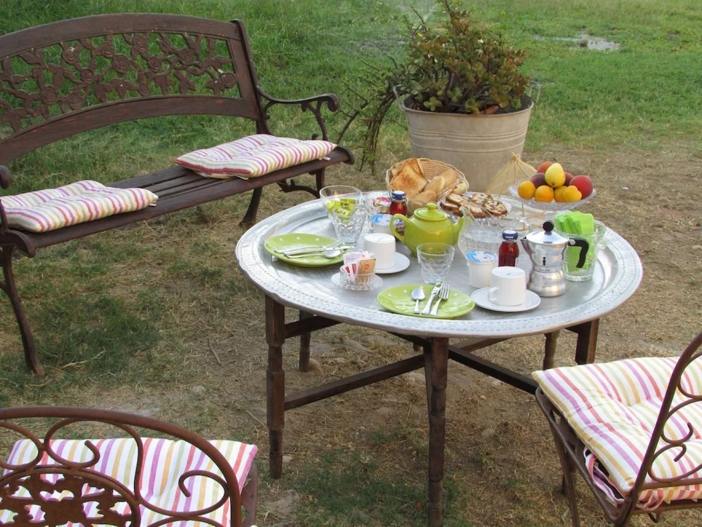 Cavalli di S'Arcaite