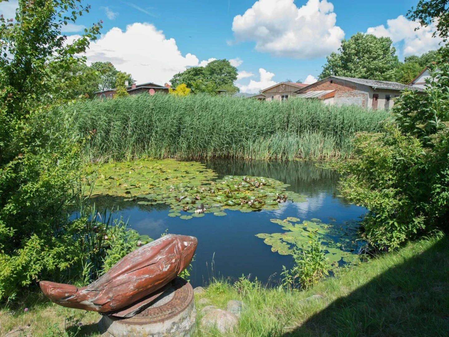 Idyllic Apartment in Rerik With Garden