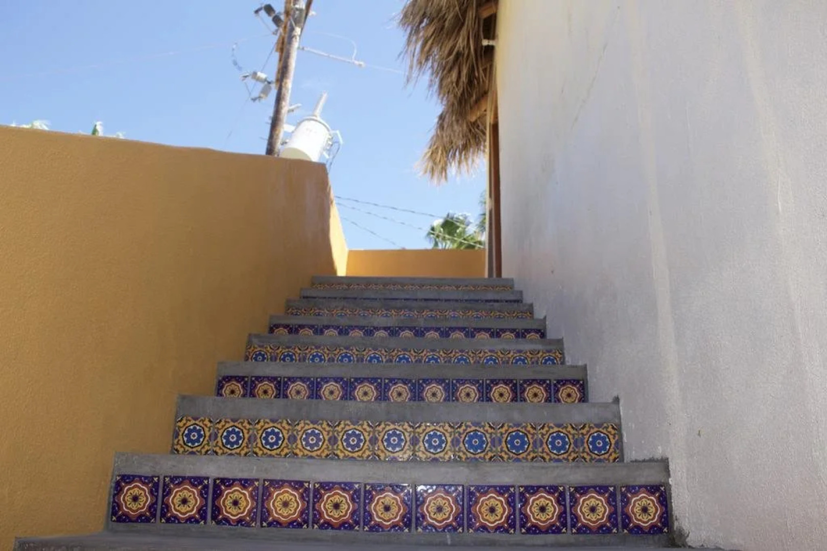 Las Palmas Tropicales