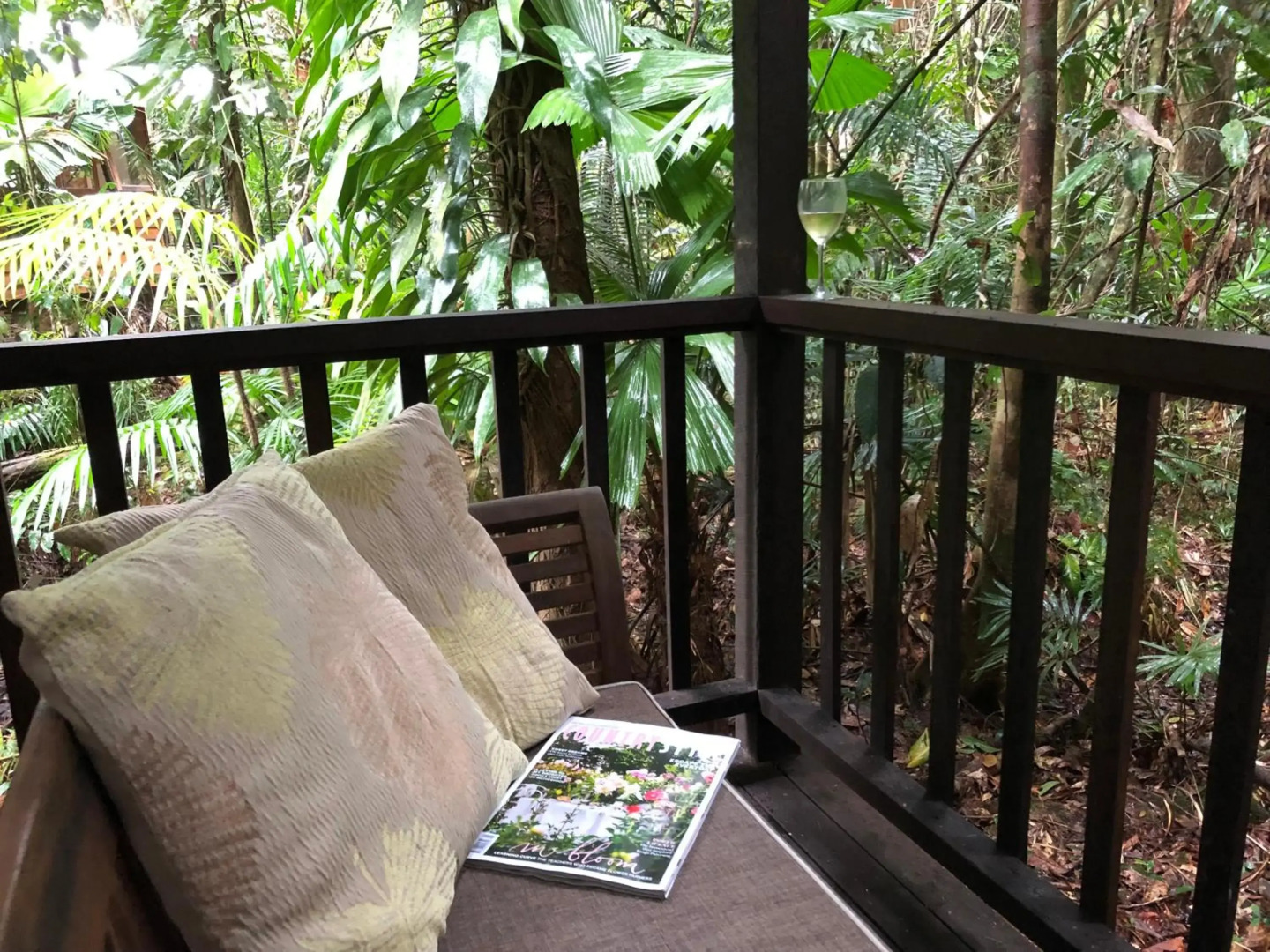 Daintree Wilderness Lodge