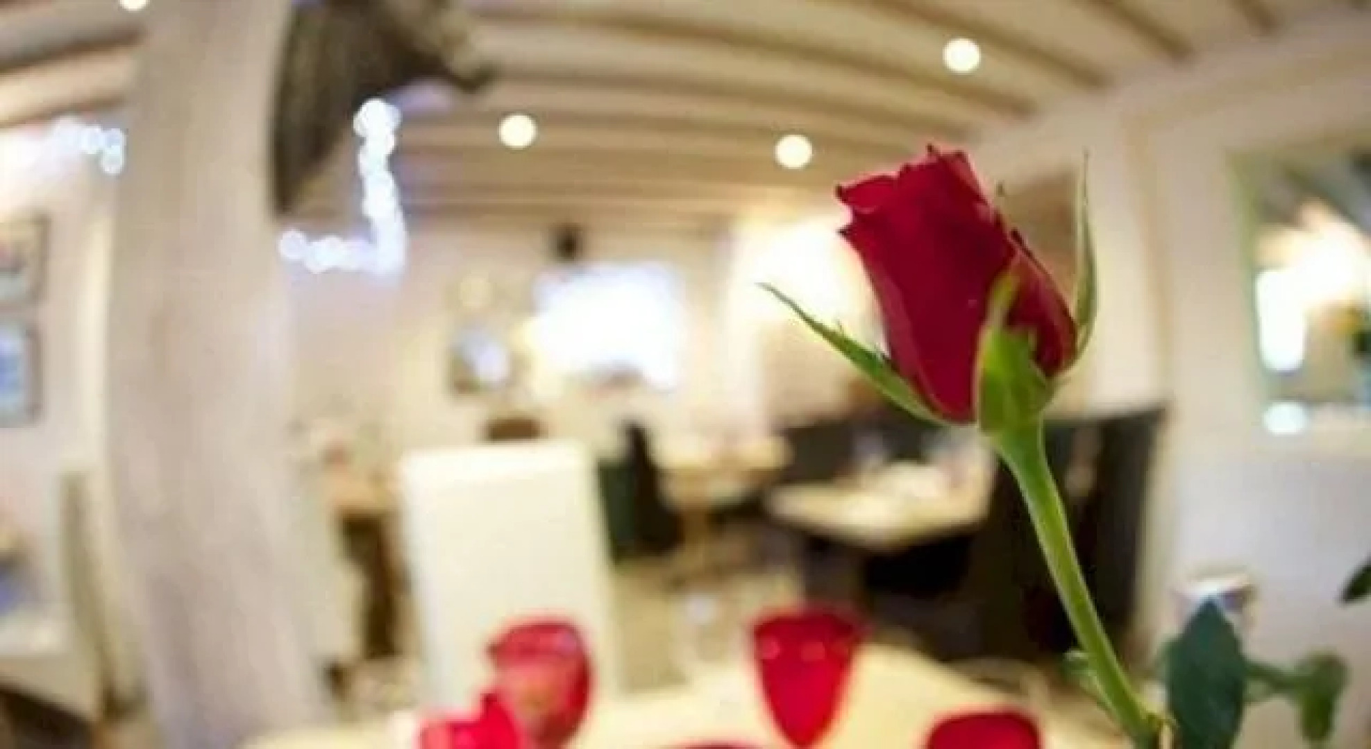 The Live and Let Live Country Inn