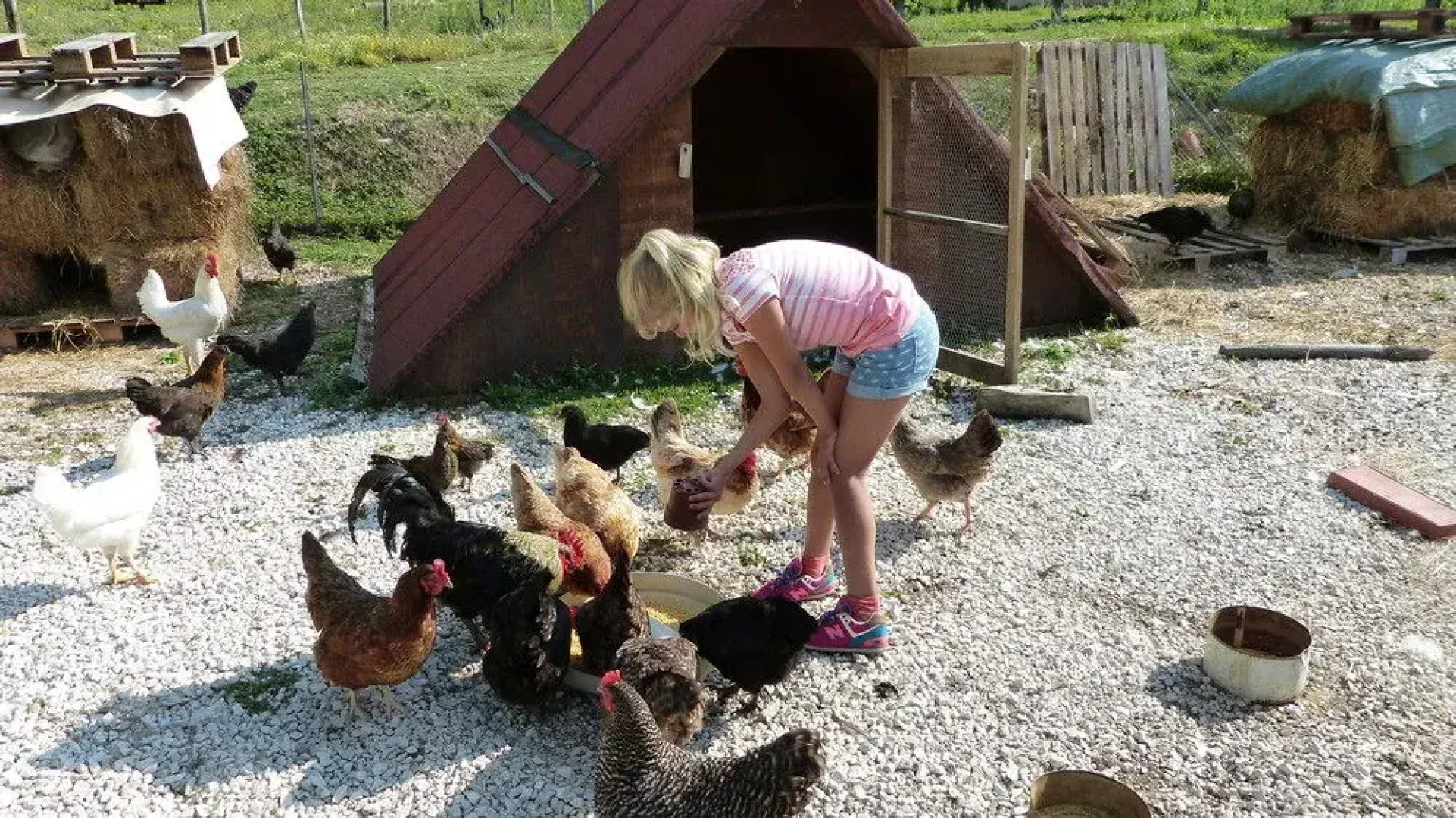 Cerqua Rosara Residence