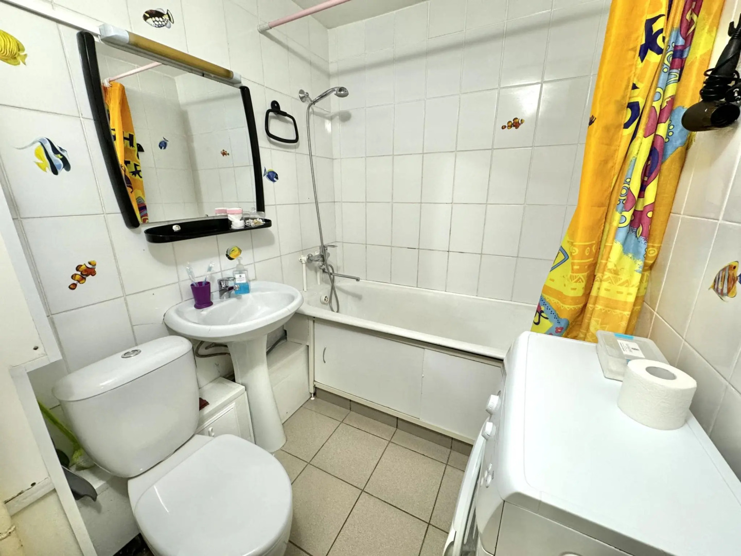 Барбарис на улице Мира 56