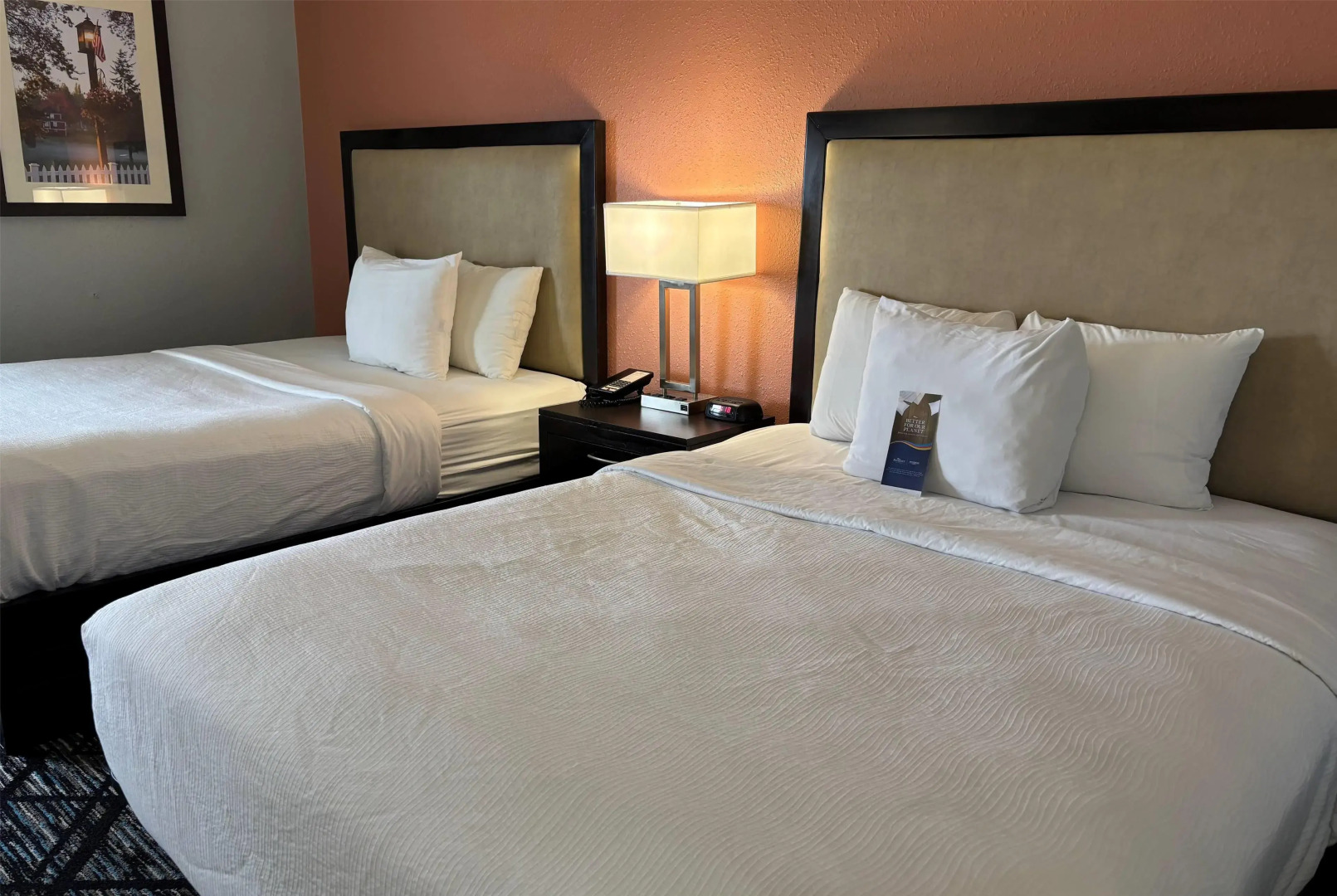 Baymont by Wyndham Litchfield