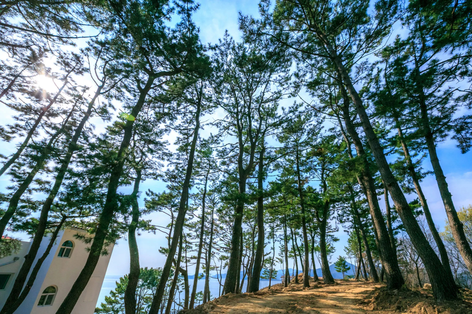 Tongyeong Beachcastle Resort