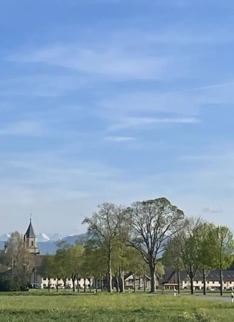 Zum Brau Comfortable Holiday Residence